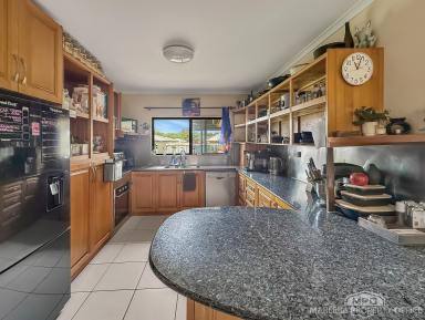 House For Sale - QLD - Mareeba - 4880 - COMFORTABLE FAMILY LIVING IN QUIET CUL-DE-SAC  (Image 2)