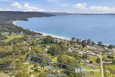 Residential Block For Sale - TAS - Adventure Bay - 7150 - 5,307sqm Coastal Block with Bay & Ocean Views (Image 2)