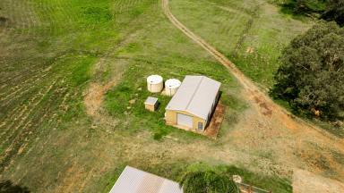 Industrial/Warehouse For Lease - QLD - Withcott - 4352 - Affordable Shed - Suitable for Storage or Small Workshop  (Image 2)