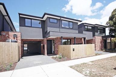 Townhouse Leased - VIC - Cranbourne - 3977 - Contemporary Living with Convenience at your Doorstep  (Image 2)