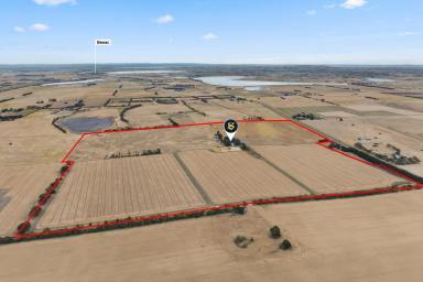 Cropping For Sale - VIC - Weering - 3251 - PREMIER HIGHLY PRODUCTIVE COLAC DISTRICT COUNTRY  (Image 2)