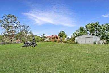 Lifestyle For Sale - NSW - Gloucester - 2422 - Idyllic Country Living on 10.77 Acres  (Image 2)
