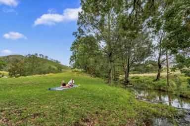 Lifestyle For Sale - NSW - Gloucester - 2422 - Idyllic Country Living on 10.77 Acres  (Image 2)