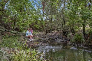 Lifestyle For Sale - NSW - Gloucester - 2422 - Idyllic Country Living on 10.77 Acres  (Image 2)