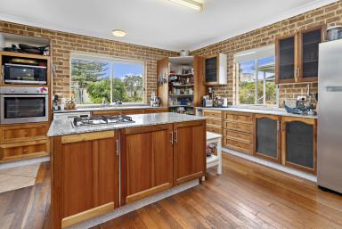 House For Sale - NSW - Werri Beach - 2534 - Walk to Beach - Single level - Endless potential (Image 2)