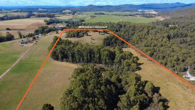 Residential Block For Sale - TAS - Sisters Creek - 7325 - 18.9 Hectares of Natural Bushland with Barn and Spring Water  (Image 2)