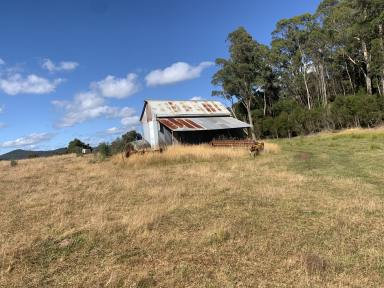 Residential Block For Sale - TAS - Sisters Creek - 7325 - 18.9 Hectares of Natural Bushland with Barn and Spring Water (Image 2)