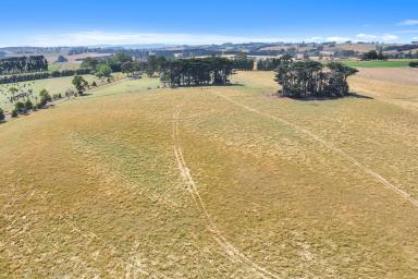 Mixed Farming For Sale - VIC - Thorpdale - 3835 - 69 Acres Rich Red Thorpdale Country and Clear On-stream Spring-Water fed Dam  (Image 2)