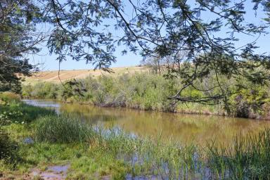 Mixed Farming For Sale - VIC - Thorpdale - 3835 - 69 Acres Rich Red Thorpdale Country and Clear On-stream Spring-Water fed Dam  (Image 2)