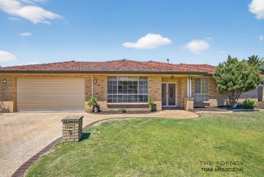 House For Sale - WA - Beechboro - 6063 - Supersized Home on a Supersized Block at Below Replacement Value  (Image 2)