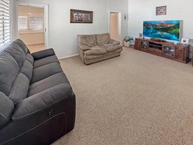 House For Sale - NSW - Narrandera - 2700 - COUNTRY LIFESTYLE SO CLOSE TO TOWN  (Image 2)