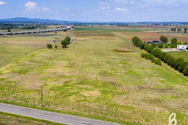 Other (Rural) For Sale - NSW - Singleton - 2330 - Best of acreage living with town services and immediate build-ready appeal.  (Image 2)