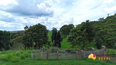 Other (Rural) For Sale - QLD - Minbun - 4886 - Dirran  (Image 2)