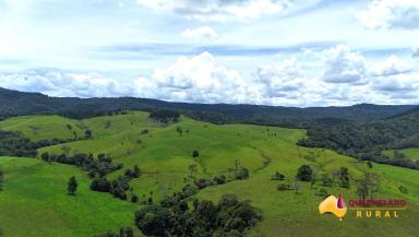 Other (Rural) For Sale - QLD - Minbun - 4886 - Patterson's  (Image 2)
