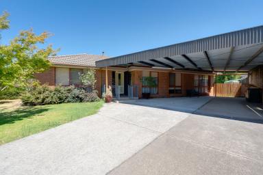 House For Sale - VIC - Myrtleford - 3737 - Classic Comfort Meets Central Convenience  (Image 2)