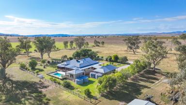 Mixed Farming Auction - NSW - Attunga - 2345 - BEAUTIFUL HOME AND SURROUNDS ON 489 QUALITY ACRES  (Image 2)