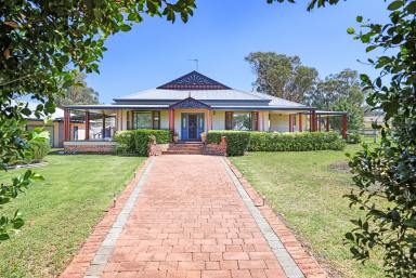 Mixed Farming Auction - NSW - Attunga - 2345 - BEAUTIFUL HOME AND SURROUNDS ON 489 QUALITY ACRES  (Image 2)