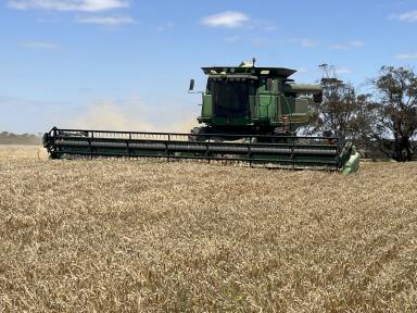 Cropping For Sale - SA - Geranium - 5301 - "PLATINUM PARK"  Cropping property of scale  (Image 2)