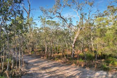 Residential Block For Sale - QLD - Koah - 4881 - 60 HA - SEASONAL CREEK & UNTOUCHED NATURAL BEAUTY  (Image 2)