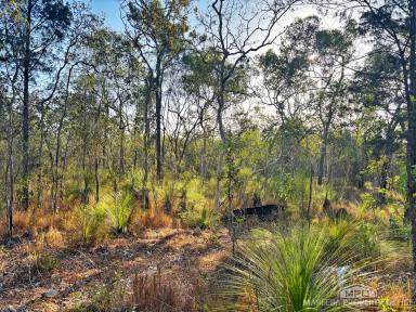 Lifestyle For Sale - QLD - Koah - 4881 - 60 HA - SEASONAL CREEK & UNTOUCHED NATURAL BEAUTY  (Image 2)