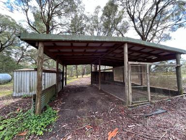 House For Lease - NSW - Penrose - 2579 - Village life  (Image 2)