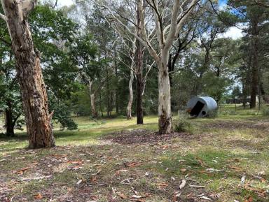 House For Lease - NSW - Penrose - 2579 - Village life  (Image 2)