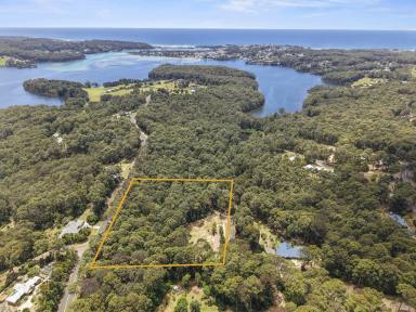 Residential Block For Sale - NSW - Narooma - 2546 - Ready to Build  (Image 2)