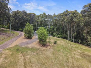 Residential Block For Sale - NSW - Narooma - 2546 - Ready to Build  (Image 2)