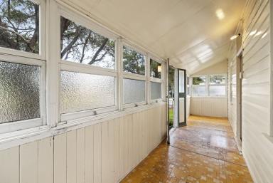 House For Sale - QLD - South Toowoomba - 4350 - Workers Cottage in Prime Location  (Image 2)