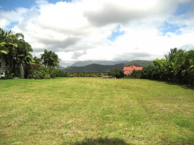 Residential Block For Sale - QLD - Cardwell - 4849 - Absolute Marina-Front Vacant Land - 1,320m² at Port Hinchinbrook  (Image 2)