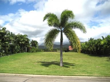 Residential Block For Sale - QLD - Cardwell - 4849 - Absolute Marina-Front Vacant Land - 1,320m² at Port Hinchinbrook  (Image 2)