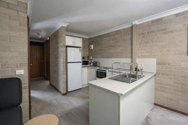 Unit For Lease - NSW - Nowra - 2541 - One Bedroom Unit (Image 2)