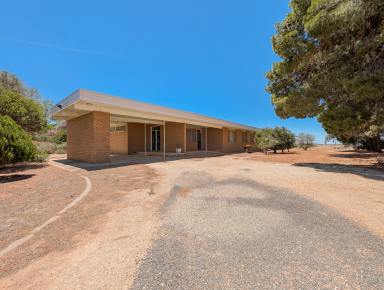 House For Sale - VIC - Culgoa - 3530 - Spacious Brick Family Home in a Quiet Mallee Setting  (Image 2)