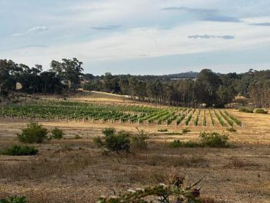 Residential Block For Sale - VIC - Guildford - 3451 - Double Opportunity: 10.13ha (25 Acre) - Lifestyle Block with Vineyard & Permit for a 3BR Dwelling  (Image 2)