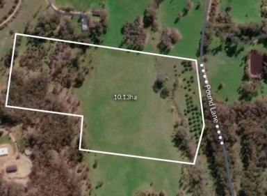 Lifestyle For Sale - VIC - Guildford - 3451 - Lifestyle Block 10.13ha (25 Acre) with Town water, Power and Permit for a 3BR Dwelling  (Image 2)