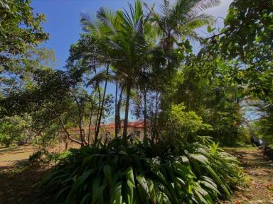 Acreage/Semi-rural For Lease - QLD - West Woombye - 4559 - Tiny House Spectacular Eco & Cosy  (Image 2)