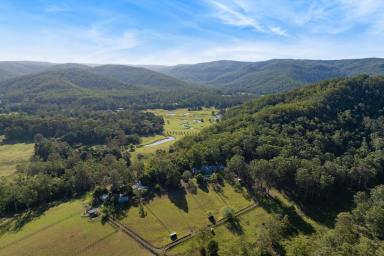 Acreage/Semi-rural For Sale - NSW - Martinsville - 2265 - Private Country Farm Immersed in Nature  (Image 2)