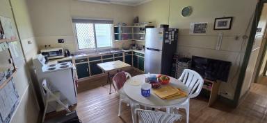 House For Sale - QLD - Ingham - 4850 - CHARMING LOWSET HOME IN INGHAM!  (Image 2)
