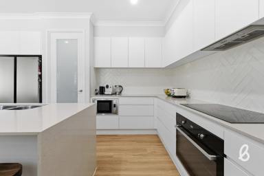 Lifestyle For Sale - NSW - Singleton - 2330 - 17 acres | 10 mins from town | Expansive modern residence  (Image 2)