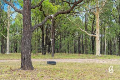 Lifestyle For Sale - NSW - Singleton - 2330 - 17 acres | 10 mins from town | Expansive modern residence  (Image 2)