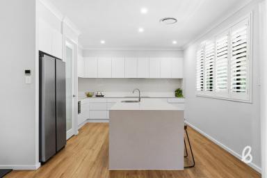 Lifestyle For Sale - NSW - Singleton - 2330 - 17 acres | 10 mins from town | Expansive modern residence (Image 2)