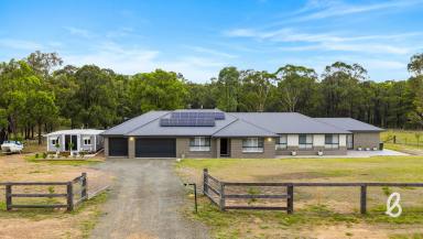 Lifestyle For Sale - NSW - Singleton - 2330 - 17 acres | 10 mins from town | Expansive modern residence (Image 2)