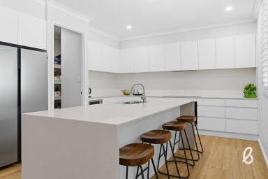 Lifestyle For Sale - NSW - Singleton - 2330 - Large modern living meets relaxed acreage living  (Image 2)