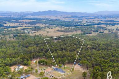Lifestyle For Sale - NSW - Singleton - 2330 - Large modern living meets relaxed acreage living  (Image 2)