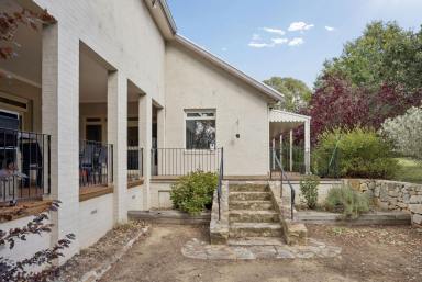 House Auction - NSW - Collector - 2581 - Architect-Designed Country Living with Space, Style and Flexibility  (Image 2)