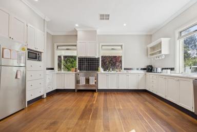 House Auction - NSW - Collector - 2581 - Architect-Designed Country Living with Space, Style and Flexibility  (Image 2)