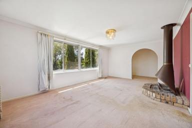 House Auction - ACT - Kambah - 2902 - Quiet, Elevated Living with Brindabella Views in Established Kambah  (Image 2)