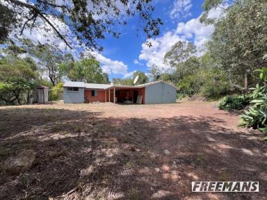 House For Sale - QLD - Dangore - 4610 - 39.7 acres with 4-bedroom Besser block home  (Image 2)
