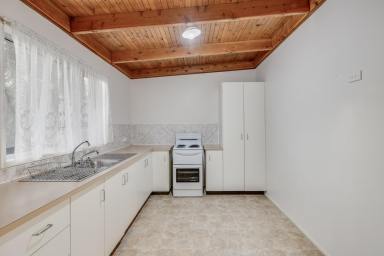 House Sold - QLD - Kingsthorpe - 4400 - Ideal First Home or Investment on a Generous Block  (Image 2)