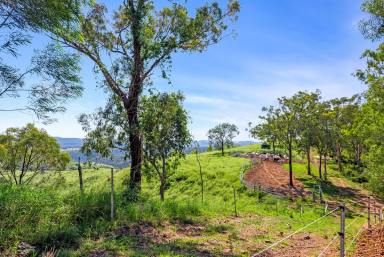 Lifestyle For Sale - QLD - West Haldon - 4359 - Lot 32 'BULL HILL NORTH'  (Image 2)